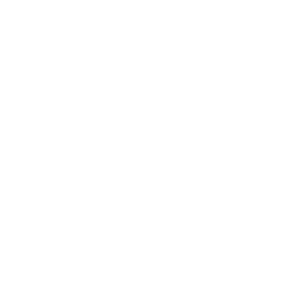 COISS_LOGO_White_Piktogramm